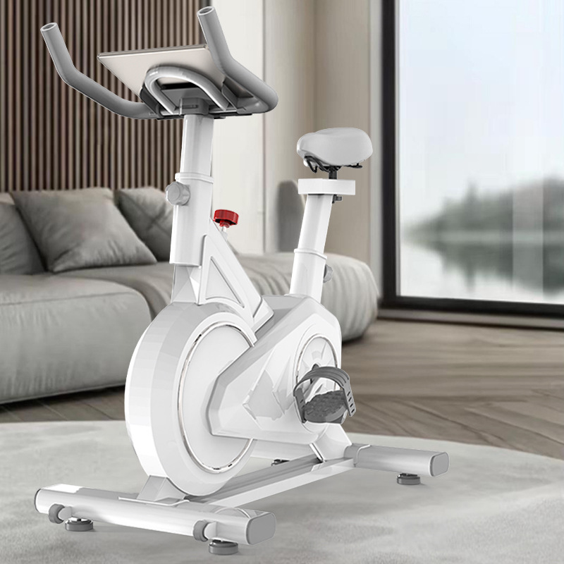 Bicicleta giratória inteligent - Exercise Bike Magnetic Resistance avaliação e preço